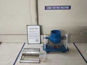 WhatsApp Image 2025-03-03 at 1.55.55 PM