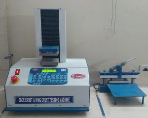 WhatsApp Image 2025-03-03 at 1.55.56 PM (1)